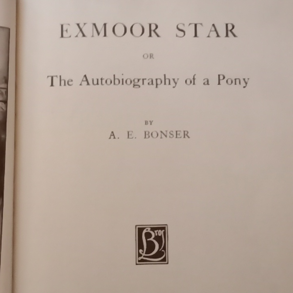 Exmoor Star, By A. E. Bonser - Picture 2 of 3